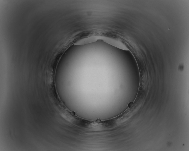 X0000102340413200808081135