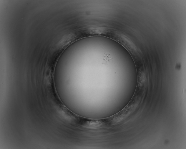 X0000102340414200808081135