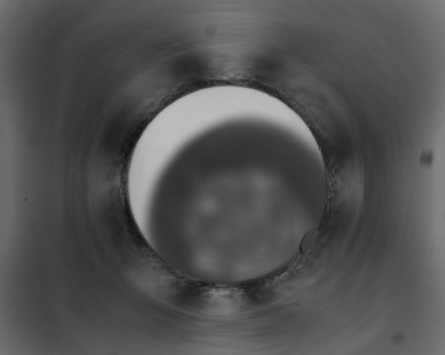 X0000102340415200808081135