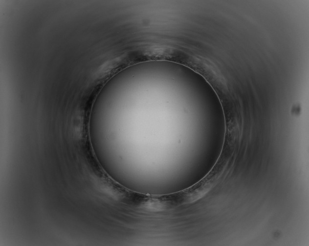 X0000102340416200808081135