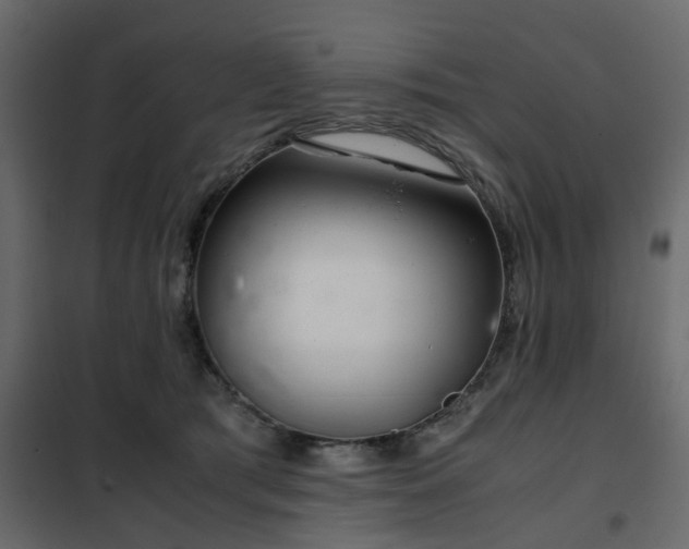 X0000102340417200808081135