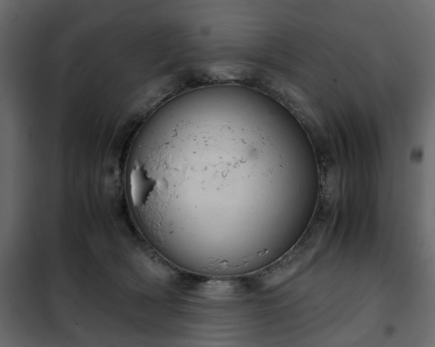 X0000102340418200808081135