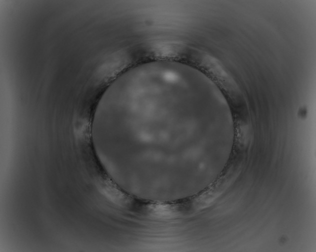 X0000102340419200808081135