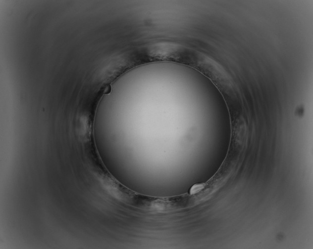 X0000102340420200808081135