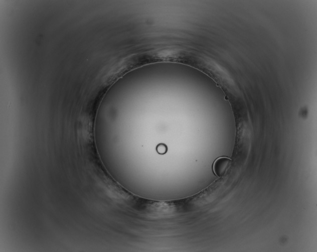 X0000102340421200808081135