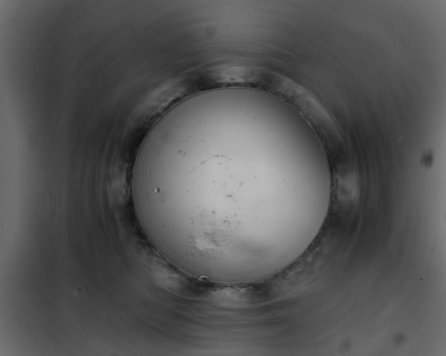 X0000102340422200808081135