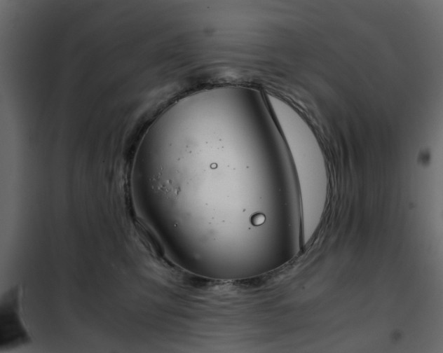 X0000102340423200808081135