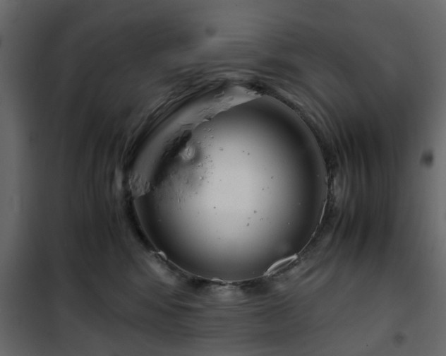 X0000102340424200808081135