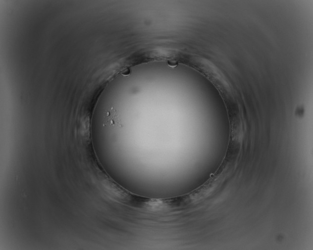 X0000102340425200808081135