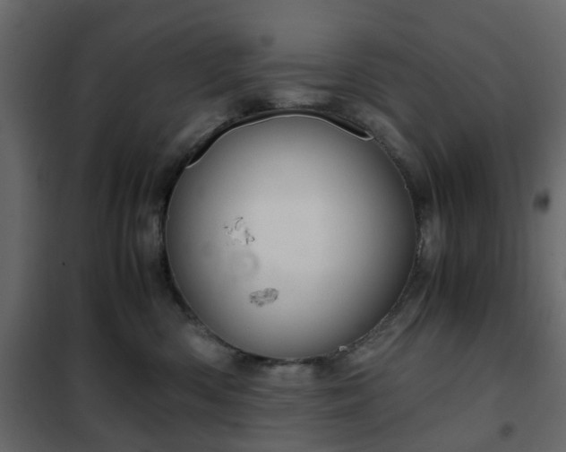 X0000102340426200808081135