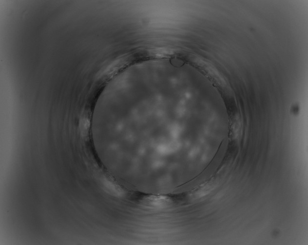 X0000102340427200808081135