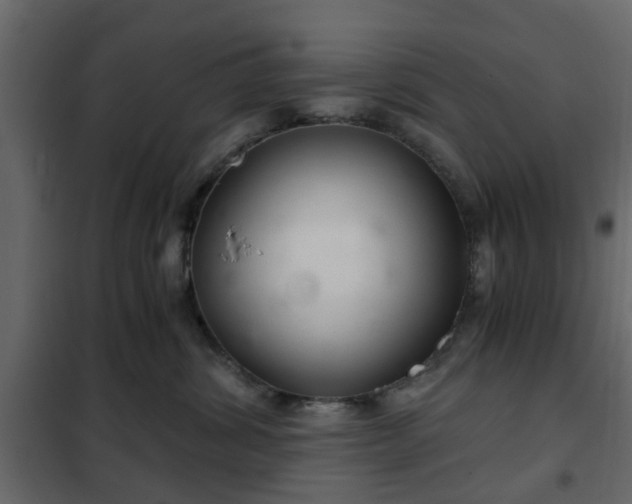 X0000102340428200808081135