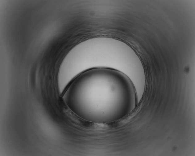 X0000102340429200808081135