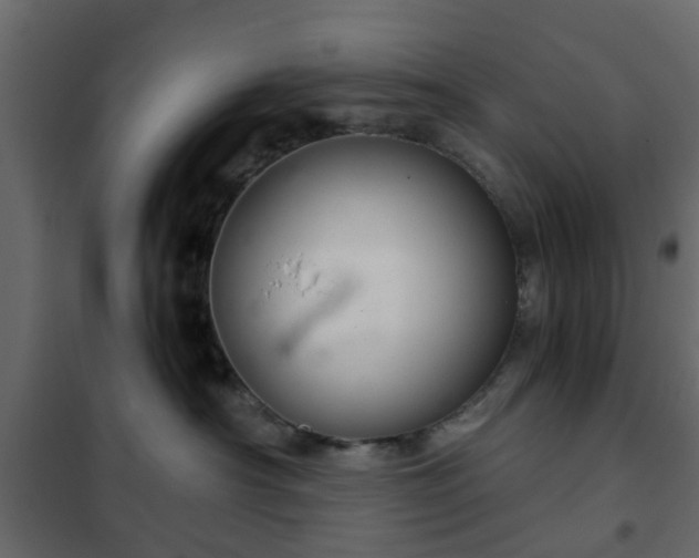 X0000102340430200808081135