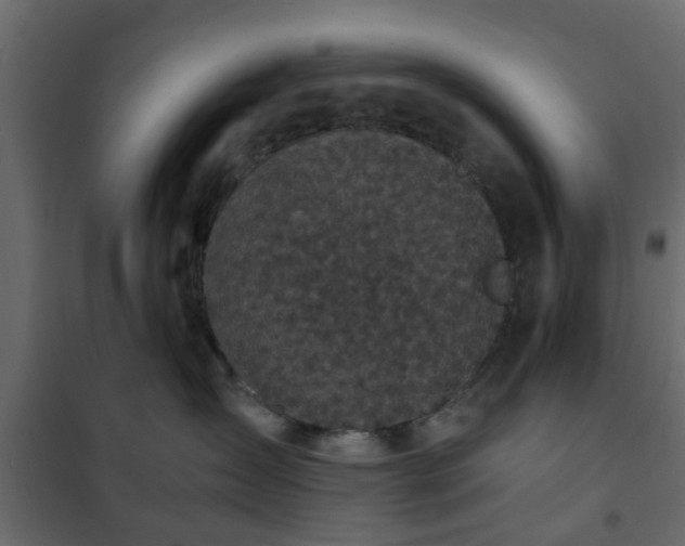 X0000102340431200808081135