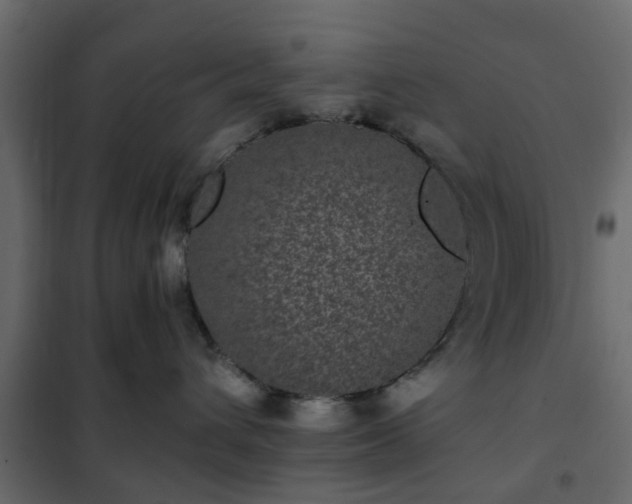 X0000102340432200808081135