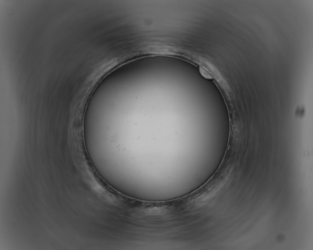 X0000102340433200808081134