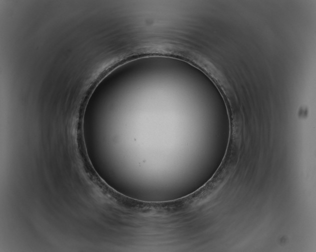 X0000102340434200808081134