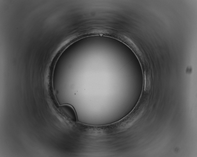 X0000102340435200808081134