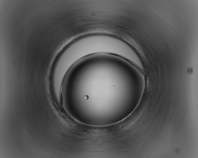 X0000102340436200808081134