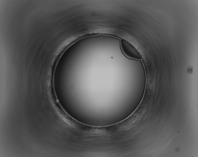 X0000102340437200808081134