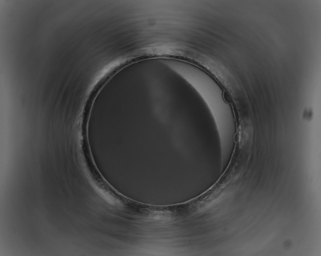 X0000102340438200808081135