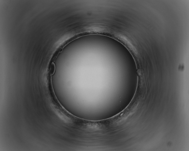 X0000102340439200808081135