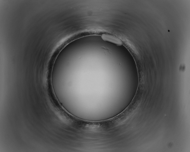 X0000102340440200808081135