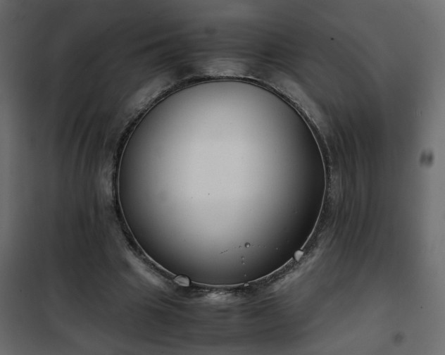 X0000102340441200808081135