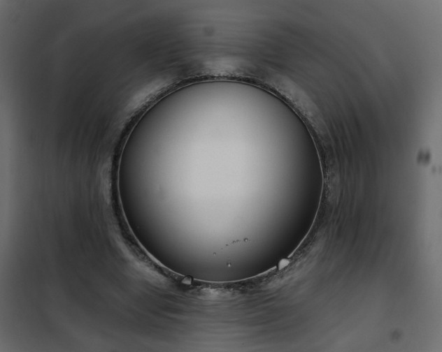 X0000102340442200808081135