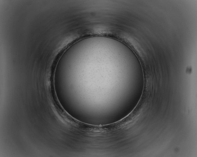 X0000102340443200808081135