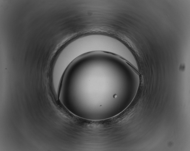 X0000102340444200808081135