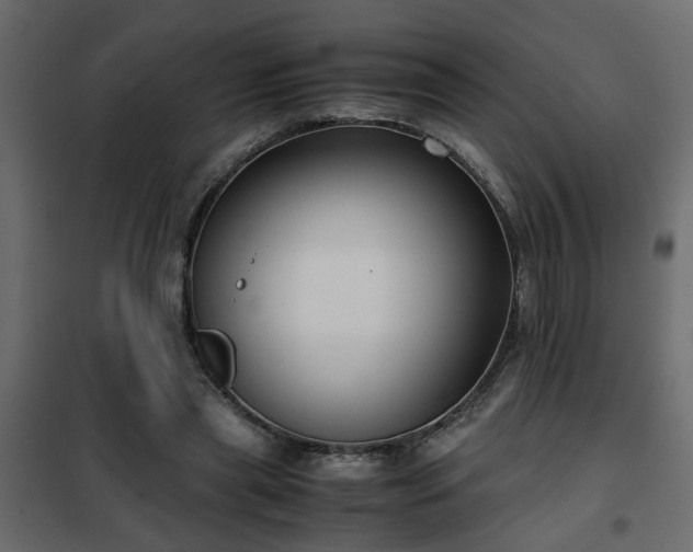 X0000102340445200808081135