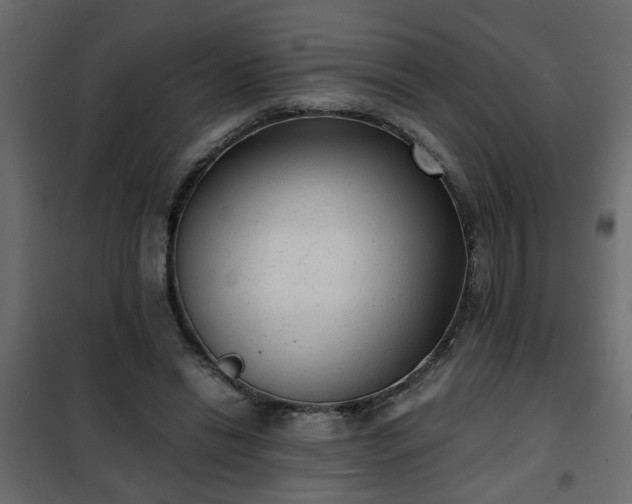 X0000102340446200808081135