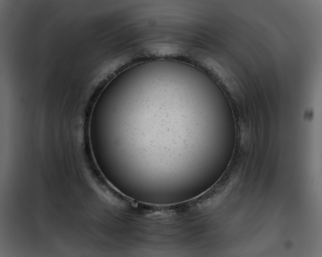 X0000102340447200808081135