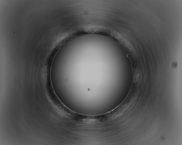 X0000102340448200808081135