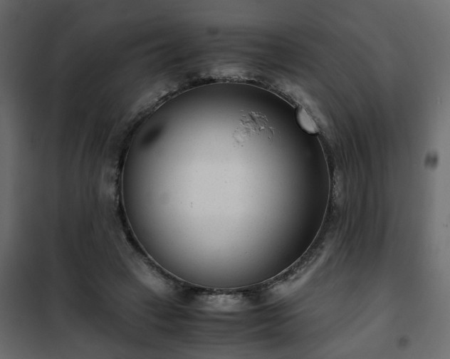 X0000102340449200808081135