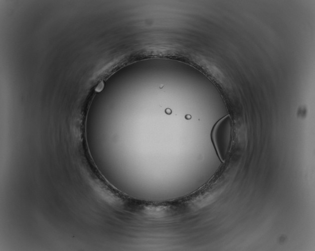 X0000102340450200808081135