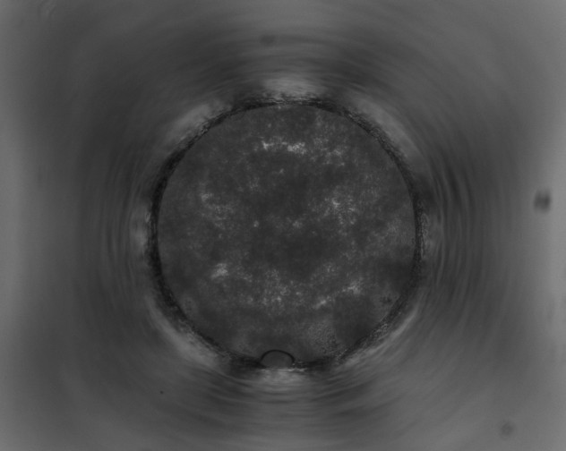 X0000102340451200808081135