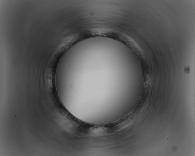 X0000102340452200808081135