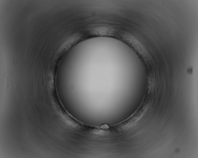 X0000102340453200808081135