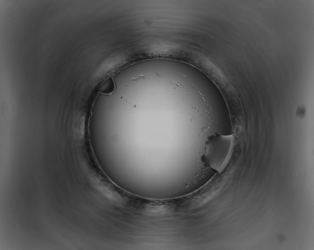 X0000102340454200808081135