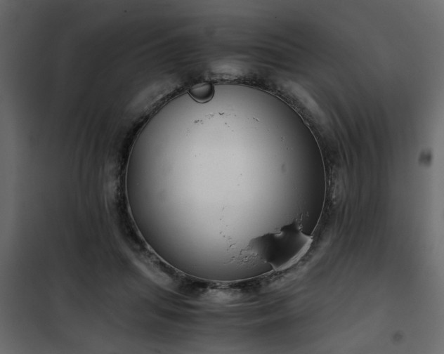 X0000102340455200808081135