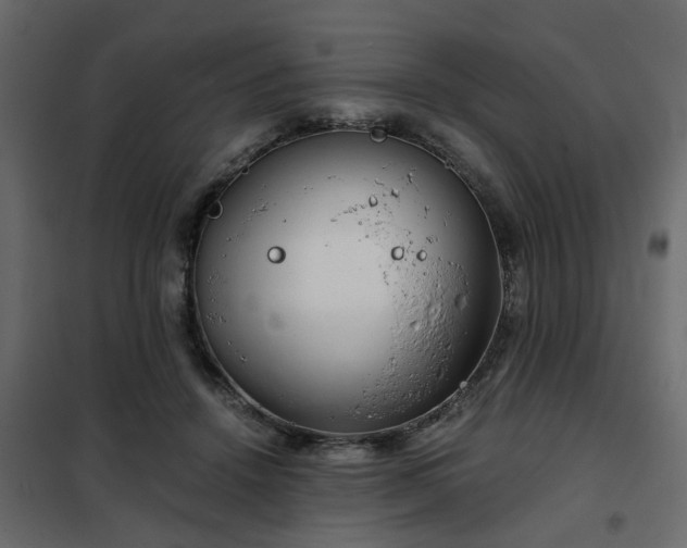 X0000102340456200808081135