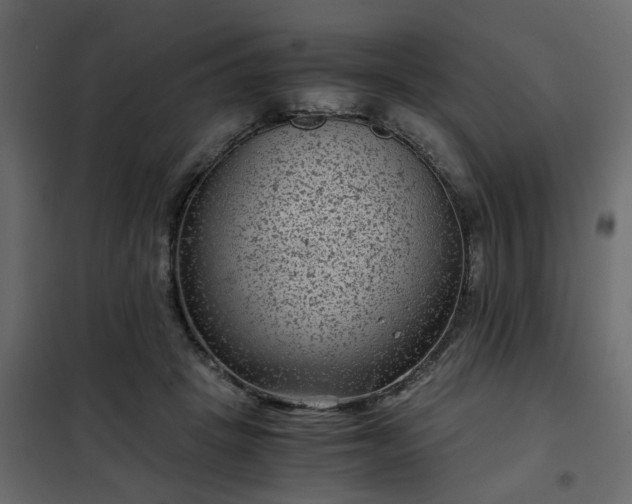 X0000102340457200808081135