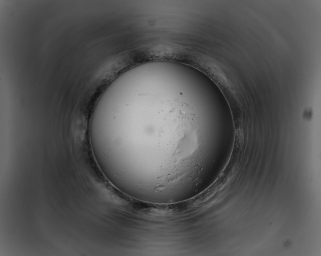 X0000102340458200808081135