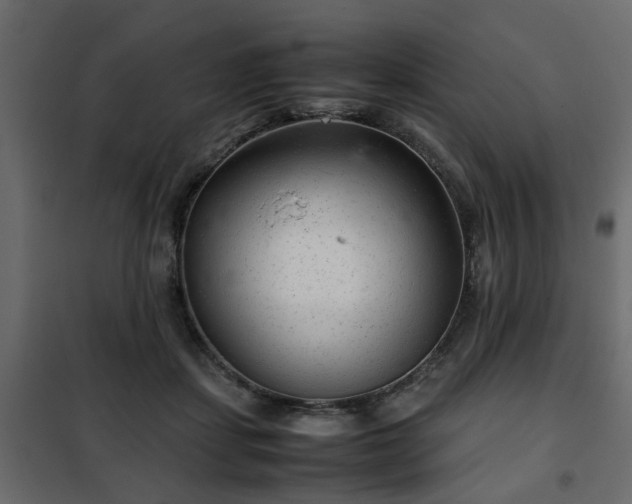 X0000102340459200808081135