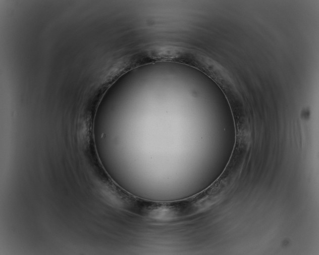 X0000102340460200808081135