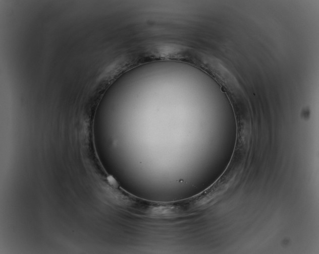 X0000102340461200808081135