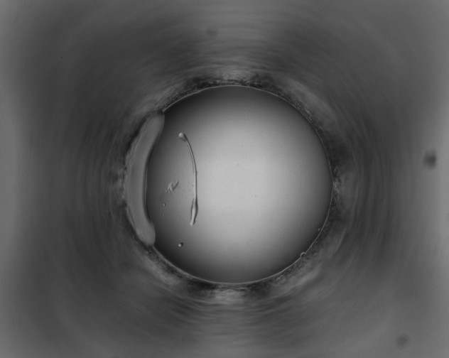 X0000102340462200808081135